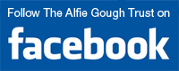 Follow Appeal4Alfie on Facebook